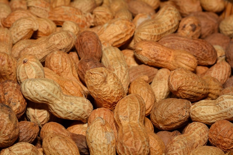 Trail Mix
