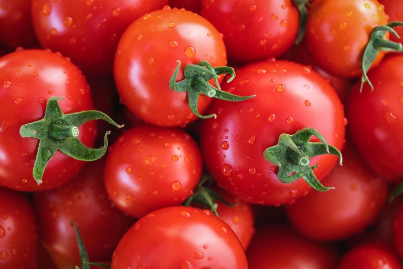 Tomatoes - New World Discovery